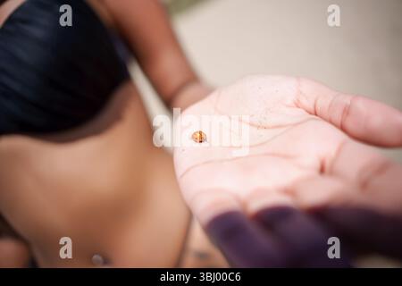 Ein Nahaufnahme-Foto eines hübschen Marienkäfers, der am Strand auf der Hand sitzt Stockfoto