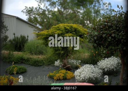 Blick auf einen französischen Garten mit verschiedenen Arten von Pflanzen, Blumen und Bäumen mit einer grauen Metallkabine im Hintergrund Stockfoto