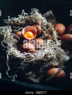 Nahaufnahme von hoffrischen braunen Eiern in einem rustikalen, strohgefütterten Nest. Ein Ei ist aufgerissen und zeigt ein lebhaftes Eigelb, wodurch ein heimeliges A entsteht Stockfoto