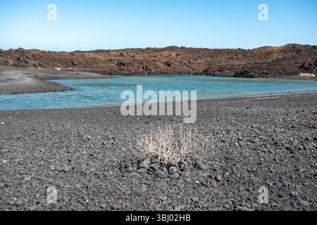 Erkunden Sie eine ruhige Lagune mit kristallklarem blauem Wasser auf Lanzarote, den Kanarischen Inseln, umgeben von markantem vulkanischem Gelände und zerklüfteter Felsform Stockfoto