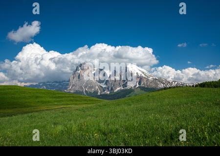 Ein atemberaubender Blick auf die Seiser Alm mit saftig grünen Wiesen und schneebedeckten Gipfeln in den Dolomiten, Italien, unter einem leuchtend blauen Himmel mit f Stockfoto