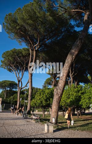 Giardino degli Aranci in Rom, Italien im Frühsommer Stockfoto