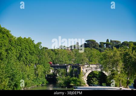 Blick auf Ponte Palantino in Rom, italien im Sommer Stockfoto