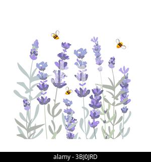 Lavendelblüten und Honigbienen isolierte Zusammensetzung. Handgezeichnete Vektorgrafik Stock Vektor