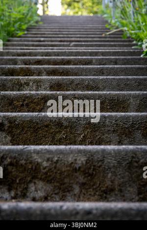 Moosige Betontreppe im Außenbereich. Industrieller Stil. Stockfoto