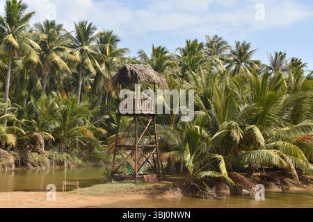 Herrlicher Blick auf Palmen und eine Lagune in der Nähe von Sanya, China Stockfoto