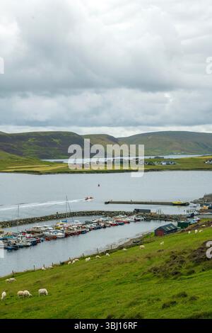 Scalloway, die ehemalige Hauptstadt von Shetland, verbindet reiche Geschichte, farbenfrohe Hafenleben und dramatische Küstenschönheiten in einem unvergesslichen Dorf. Stockfoto