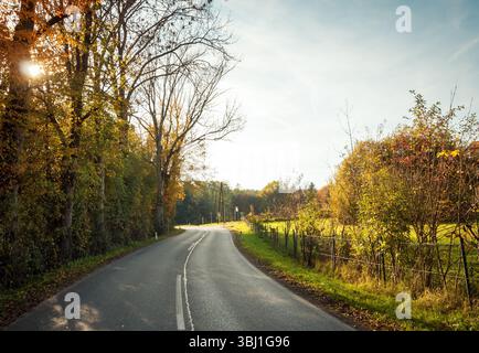 Straße durch die herbstliche Landschaft. Kurvige Straße im ländlichen Raum zwischen Dörfern in der Steiermark. Stockfoto