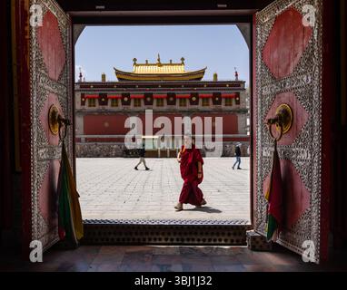 Xining, China - 6. Mai 2025: Ein tibetischer buddhistischer Mönch spaziert vor dem Kumbum-Kloster in der Nähe von Xining in der chinesischen Provinz Qinghai Stockfoto