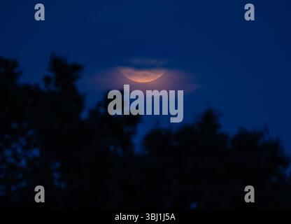 Ein Vollmond im Juni, der in der Abenddämmerung durch die Wolken aufsteigt. Stockfoto