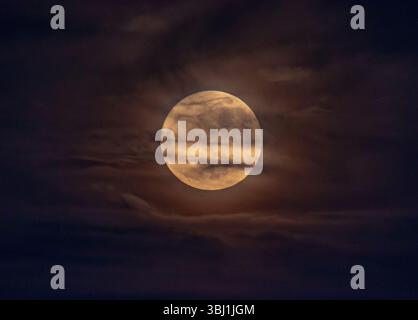 Ein goldener Vollmond, der nachts durch Wolken aufsteigt. Stockfoto