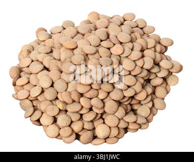 Ein Haufen brauner Linsen, die herausgeschnitten wurden Stockfoto