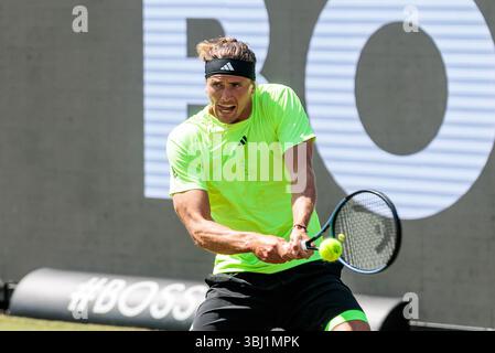 Stuttgart, Deutschland. Juni 2025. Alexander Zverev (GER) im Match gegen Corentin Moutet (FRA) BOSS OPEN ATP250; Stuttgart, Tennisclub Weissenhof am 12.06.2025 Credit: dpa/Alamy Live News Stockfoto