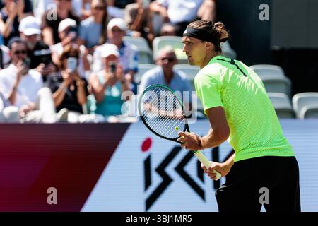 Stuttgart, Deutschland. Juni 2025. Alexander Zverev (GER) im Match gegen Corentin Moutet (FRA) BOSS OPEN ATP250; Stuttgart, Tennisclub Weissenhof am 12.06.2025 Credit: dpa/Alamy Live News Stockfoto