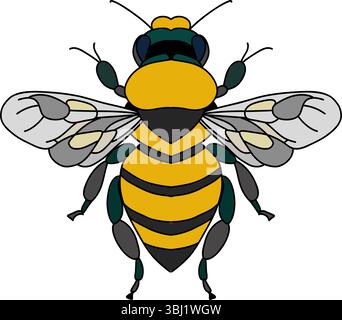 Bienen-Vektor-Kunst-Illustration, Honigbiene Stock Vektor