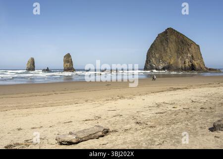 Sonniger Strand mit großen Felsen im Meer und klarem blauem Himmel, friedliche und entspannende Atmosphäre, Haystack Rock, Cannon Beach, Oregon, USA, Nordamerika Stockfoto