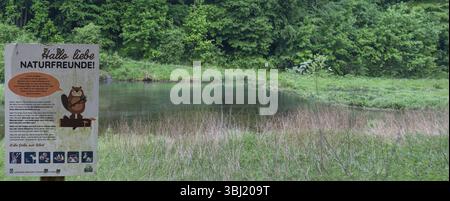 Informationstafel an einem von Bibern gestauten Bach, Grossenohe, Oberfranken, Bayern, Deutschland, Europa Stockfoto