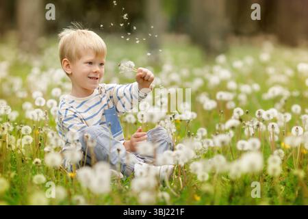 Junge, der am sonnigen Frühlingstag im Löwenzahnfeld sitzt Stockfoto