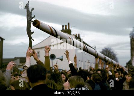 Barwick in Elmet Maypole Senkungszeremonie. Das 86 Meter lange hölzerne Maibusch wird alle drei Jahre heruntergenommen, als es sein Glück hat, die Fuchs-Wetterfahne zu berühren. Frühlingsferien. Barwick in Elmet, West Yorkshire, England 1972 Großbritannien 1970er Jahre HOMER SYKES Stockfoto