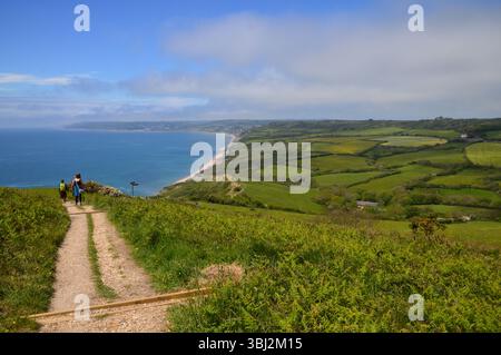 Wanderer auf dem Küstenpfad in Dorset, England, am 5. Juni gefangen genommen. Der Weg schlängelt sich durch grüne Felder zu dramatischen Klippen mit Blick auf den Strand. Stockfoto