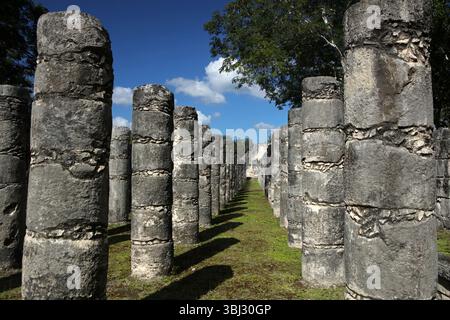 Säulen im Tempel der tausend Krieger in Chichen Itza Complex, Yucatan, Mexiko Stockfoto