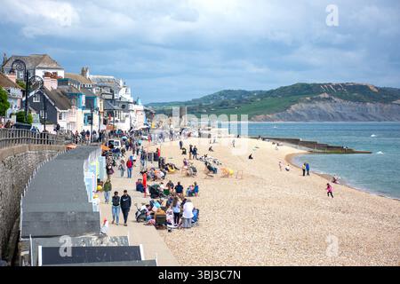 Sandy Beach, Lyme Regis, Dorset, England, Großbritannien Stockfoto