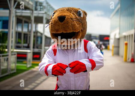 Montreal, Kanada. Mai 2025. F1 GP Canada Mascotte im Fahrerlager während des Formel 1 Pirelli Grand Prix du Canada 2025, Montreal, Quebec, Kanada, vom 12. Bis 15. Juni - Runde 10 von 24 von 2025 F1 World Championship Credit: Alessio de Marco | Avens-Images.com/Alamy Live News Stockfoto
