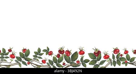 Horizontaler nahtloser Rand der Rose Hüftbeeren und Blätter Illustration isoliert auf weißem Hintergrund für Stoff, Textil, Drucke, Design, Karten. Stockfoto