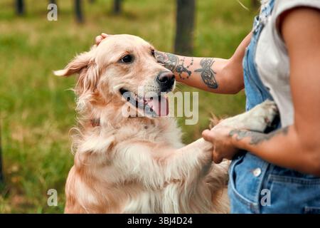 Ein Golden Retriever interagiert freudig mit seinem Besitzer in einem riesigen, üppigen grünen Feld und zeigt auf wundervolle Weise die tiefe Bindung, die zwischen dem Liebsten besteht Stockfoto