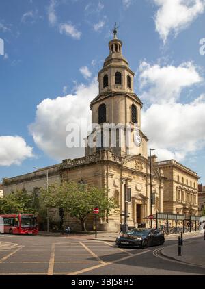 Slug Und Salat Worcester Stockfoto