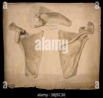 Das rechte Schulterblatt: Drei Figuren, 1853. Stockfoto