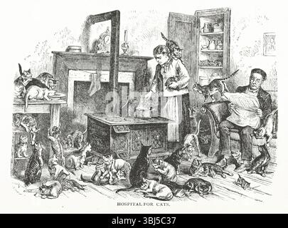Katzenkrankenhaus, 1882. Das „Krankenhaus für Katzen“... befindet sich in der Abteilung Nr. 170,... und wird von Mrs. Rosalia Goodman, einer philanthropischen deutschen Dame, geleitet. Sie widmet sich den größten Teil ihrer Zeit dem Komfort und der Erleichterung vernachlässigter und verfolgter Katzen... das Haus, in dem sie wohnt, ist ein dreistöckiges Holzgebäude... Sie lebt dort seit einigen Jahren und macht sich ein komfortables Leben, indem sie Zimmer mietet und zwei für sich und ihre Katzen reserviert. Neben vielen Haustieren, die seit Jahren freundlich betreut werden, wird die Familie ständig durch das Hinzufügen von Unglück erhöht Stockfoto