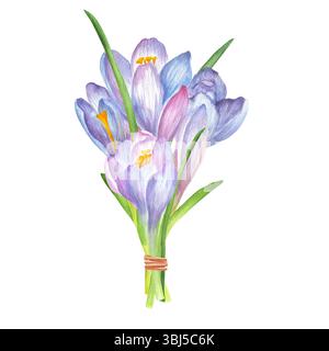 Aquarellstrauß aus rosafarbenen, violetten, blauen Blüten, Krokussen und grünen Blättern. Gartenklipart im Frühling. Handgezeichnete Illustration für Postkarten, sti Stockfoto