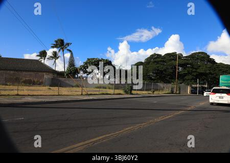 Honolulu, USA. 30. Januar 2025. Belebte Straße in Honolulu, Hawaii, mit hohen Gebäuden, Palmen, Fahrzeugen, Fußgänger und ein Hochhaus mit Witz Stockfoto