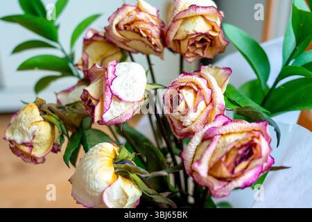 Strauß getrockneter verwelkter Rosen Stockfoto