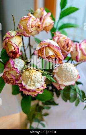 Strauß getrockneter verwelkter Rosen Stockfoto
