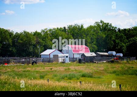 Alte rote Scheune in der kanadischen Prärie von Alberta, Kanada Stockfoto