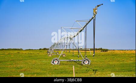 Modernes Center Pivot Bewässerungssystem auf einem grünen Bauernhof in Alberta, Kanada Stockfoto