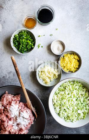 Eine Auswahl an Zutaten für ein Rezept, einschließlich Hackfleisch, gehackten Kohl, grüne Zwiebeln, Ingwer, Knoblauch, Sojasauce und Gewürze werden in angezeigt Stockfoto