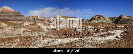 Teile versteinerter Stämme und versteinerter Holzstücke sind in den malerischen Badlands des Petrified Forest National Park, Arizona, verteilt. Stockfoto