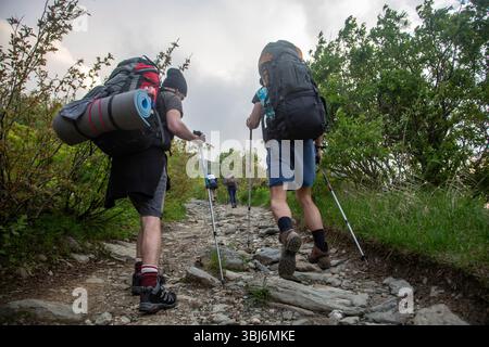 Zwei Wanderer mit schweren Rucksäcken und Trekkingstöcken auf felsigem Bergpfad. Rucksacktouristen, die sich in anspruchsvollem Gelände auf einem Abenteuer in der Wildnis bewegen. Stockfoto