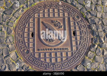 Kanaldeckel mit Wappen. Fisch (Hecht) auf Wappenschild, schräg, Schwanz nach unten, stilisiertes Pflanzenmotiv. Rybnik, Polen. Stockfoto