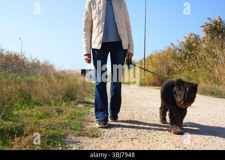 Mädchen, das mit einem schwarzen, süßen Hund läuft, Leine, Hand, Mischling Stockfoto