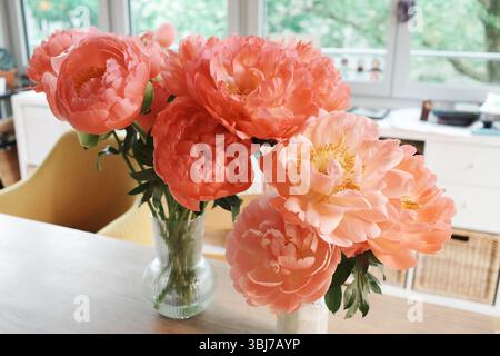 Nahaufnahme einer rosa Pfingstrose in Vase. Er erfasst die komplexen Details des Blumenzentrums und zeigt die leuchtend gelben Staubblätter und die zarten, o Stockfoto