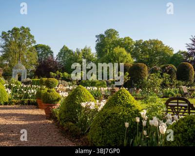 Chenies; Vogelkäfigpagode im späten Frühling mit Topiar- und weißen Triumphtulpen an einem sonnigen Abend. Stockfoto