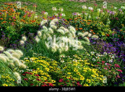 Ein dicht bepflanzter Garten mit verschiedenen Pflanzen und Blumen wie Zwergbrunnen Gras, Floss Flower, Zinnia, Spinnenblume und mexikanische Sonnenblumen. Stockfoto