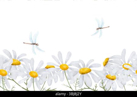Zarte Gänseblümchen mit weißen Blüten und Libellen an nahtloser Grenze. Aquarellabbildung. Wildblumen sind auf weißem Hintergrund isoliert. Design Stockfoto