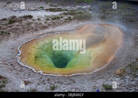 Morning Glory Pool im Upper Geyser Basin, Yellowstone National Park, Wyoming, USA Stockfoto