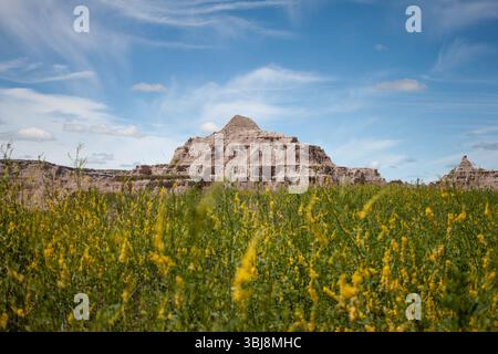 Badlands Buttes mit blühenden gelben Wildblumen in South Dakota, USA Stockfoto