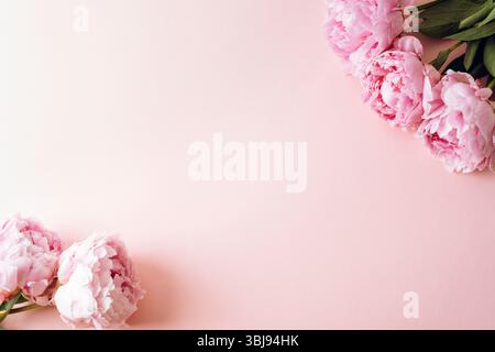 Rosafarbene Pfingstrose Blumen auf pastellrosa Hintergrund mit Kopierraum angeordnet. Draufsicht, flach. Stockfoto